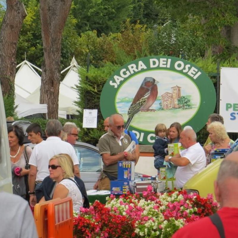 Cisano bird festival (Sagra dei Osei de Sisàn)